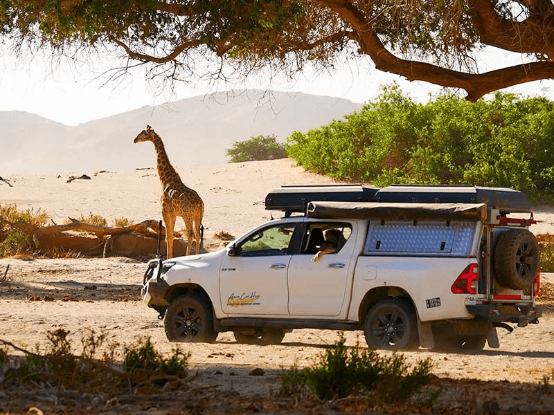 Asco Car Hire 4x4 Camper auf Safari in Südafrika